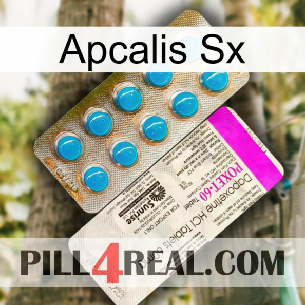 Apcalis Sx new07.jpg